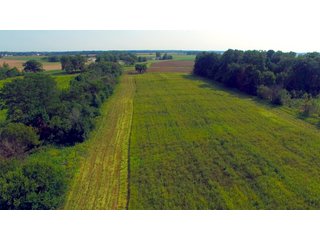 Allen County, Indiana Farmstead - FARMSTEAD AUCTION - 41+/- ACRES IN 4 TRACTS IN ALLEN COUNTY, INDIANA